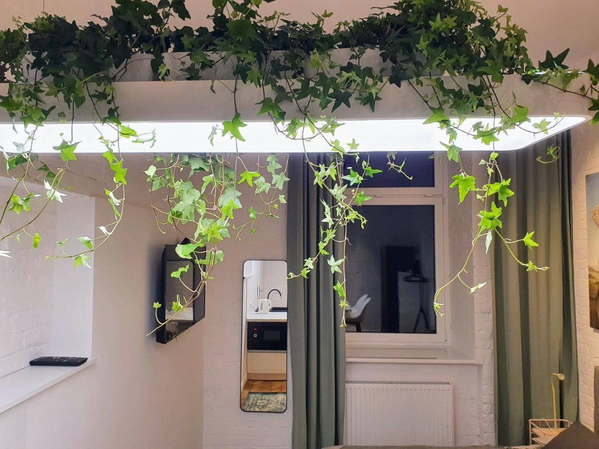 Takie Studio, Ze Zal Nie Wynajac วูดช์ ภายนอก รูปภาพ